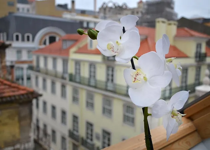 Szálloda Browns Downtown