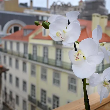 Hotell Browns Downtown